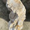 Lápida madera petrificada 51332