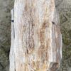 Lápida madera petrificada 51333
