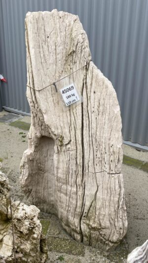 Memorial stone petrified wood 45069
