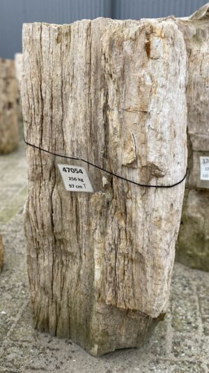 Memorial stone petrified wood 47054