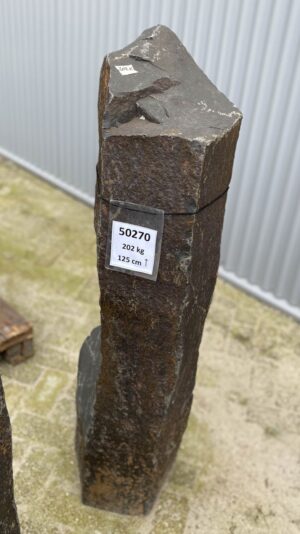 Memorial stone petrified wood 50270