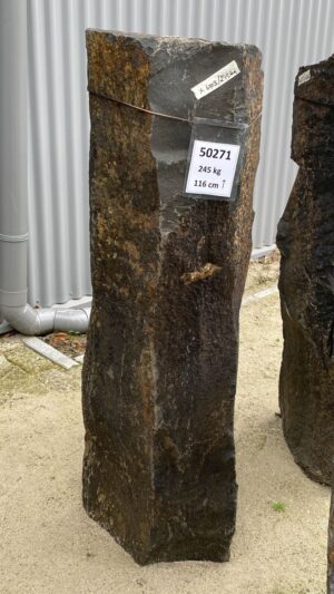 Memorial stone petrified wood 50271
