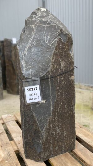 Memorial stone petrified wood 50277