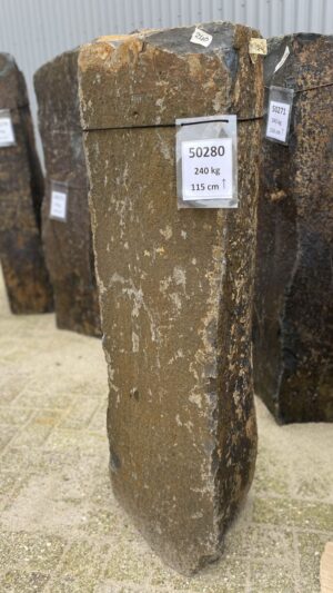 Memorial stone petrified wood 50280