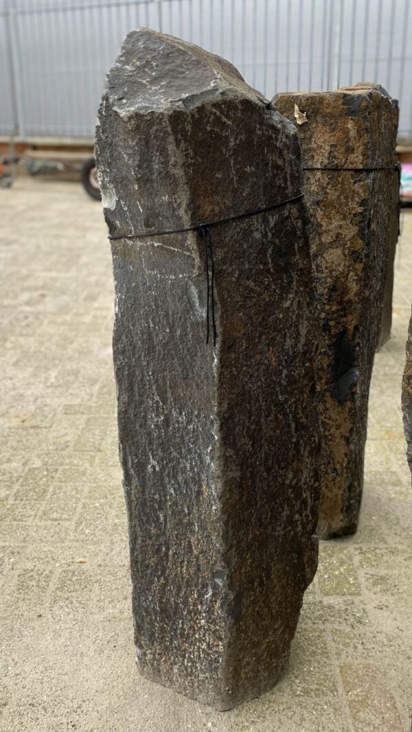 Memorial stone petrified wood 50284