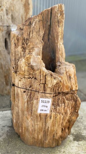 Memorial stone petrified wood 51119
