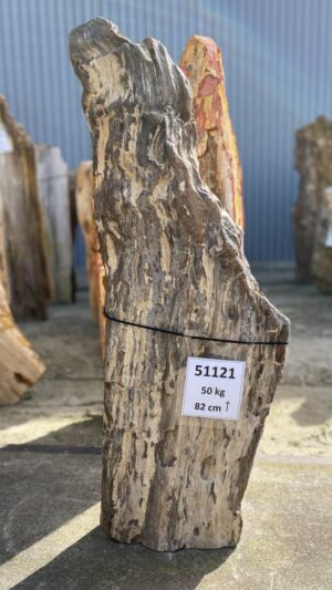 Memorial stone petrified wood 51121