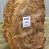 Memorial stone petrified wood 51124