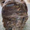 Memorial stone petrified wood 51124