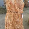 Memorial stone petrified wood 51125