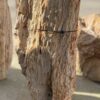 Memorial stone petrified wood 51125