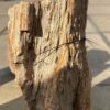 Memorial stone petrified wood 51125