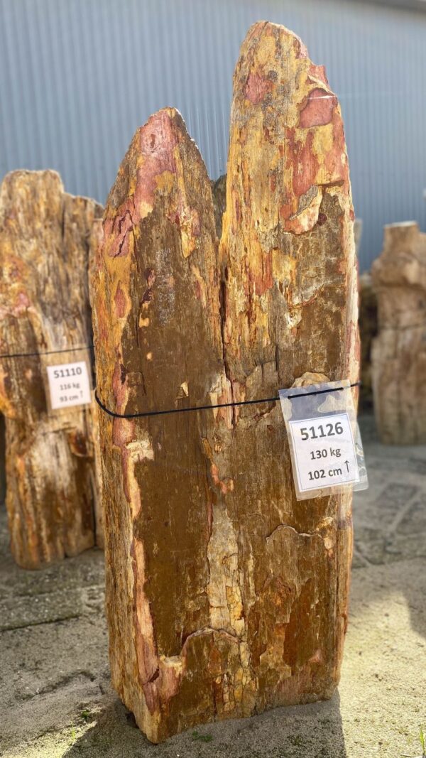 Memorial stone petrified wood 51126