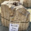 Memorial stone petrified wood 51128