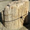 Memorial stone petrified wood 51128