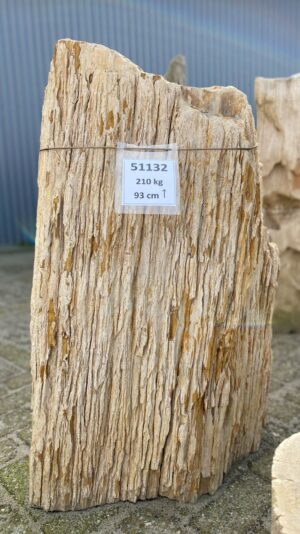 Memorial stone petrified wood 51132