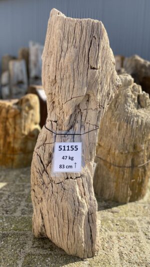 Memorial stone petrified wood 51155