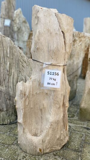 Memorial stone petrified wood 51156