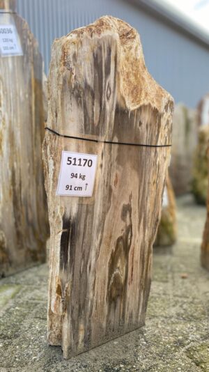 Memorial stone petrified wood 51170
