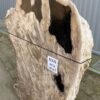 Memorial stone petrified wood 51172