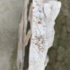 Memorial stone petrified wood 51172