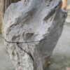 Memorial stone petrified wood 51172