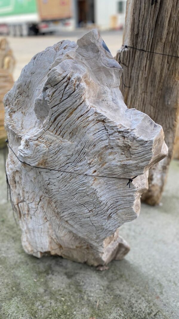 Memorial stone petrified wood 51172