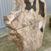 Memorial stone petrified wood 51172