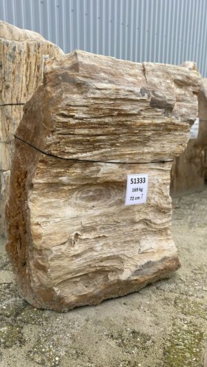 Memorial stone petrified wood 51333