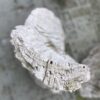 Pierre tombale bois pétrifié 45069