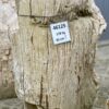 Pierre tombale bois pétrifié 46125