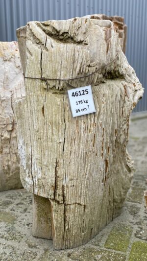 Pierre tombale bois pétrifié 46125
