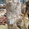 Pierre tombale bois pétrifié 47063