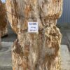 Pierre tombale bois pétrifié 51335