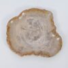 Assiette bois pétrifié 51071