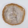Assiette bois pétrifié 51072