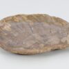 Assiette bois pétrifié 51104