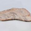 Assiette bois pétrifié 51339