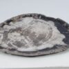 Assiette bois pétrifié 52014