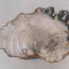 Beistelltisch versteinertes Holz 47039