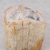 Beistelltisch versteinertes Holz 48007