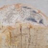 Beistelltisch versteinertes Holz 48007