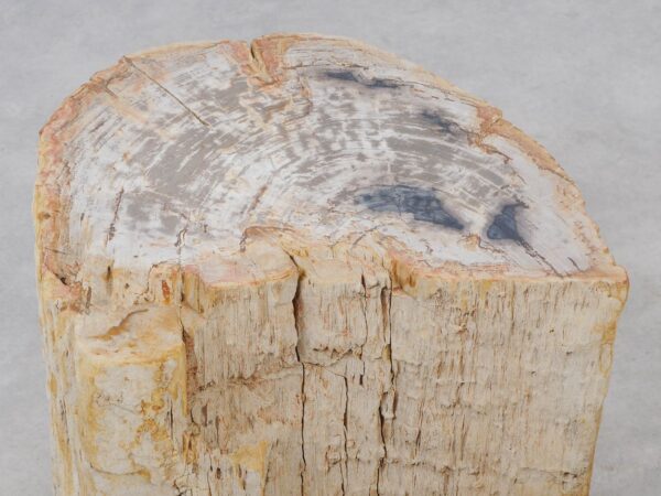 Beistelltisch versteinertes Holz 48007