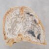 Beistelltisch versteinertes Holz 48007