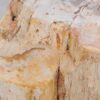 Beistelltisch versteinertes Holz 48007