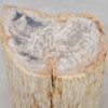 Beistelltisch versteinertes Holz 48007