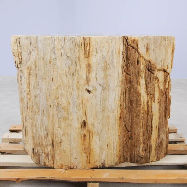 Beistelltisch versteinertes Holz 48015