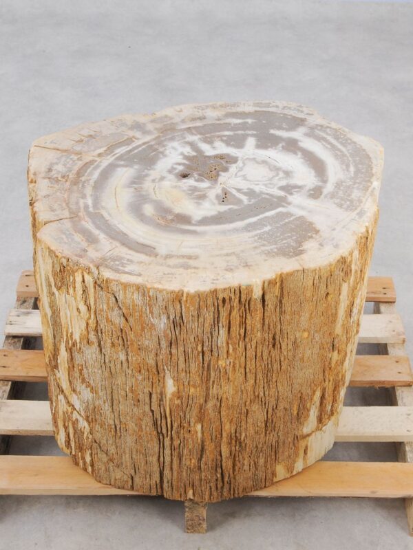 Beistelltisch versteinertes Holz 48015