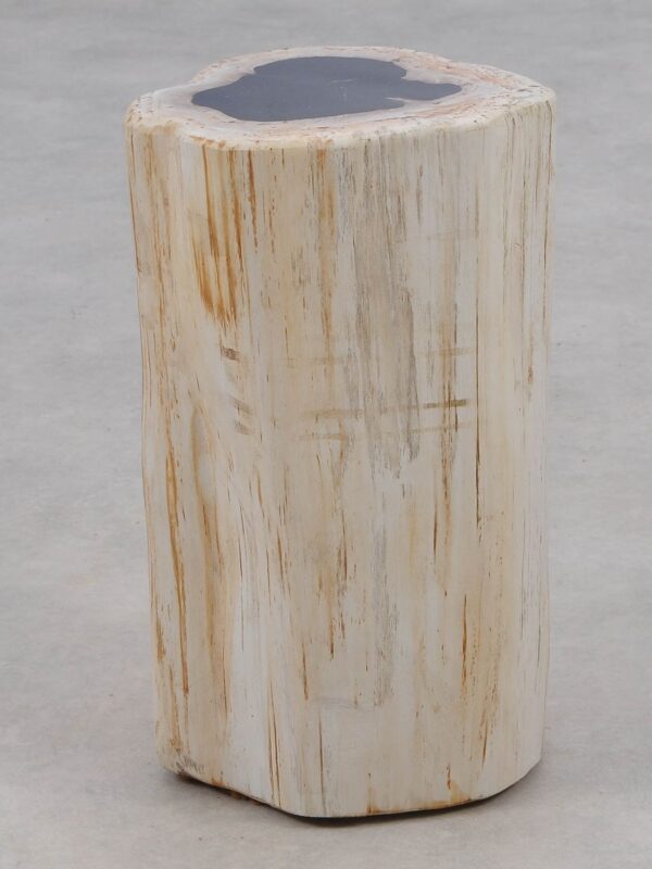 Beistelltisch versteinertes Holz 51000