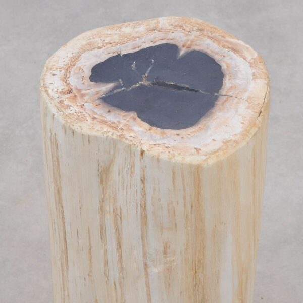 Beistelltisch versteinertes Holz 51001